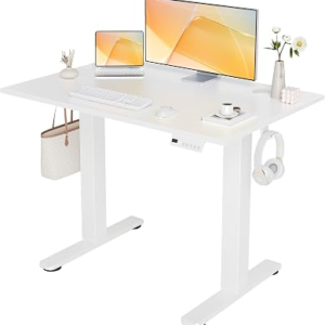 SEANG Electric Standing Desk