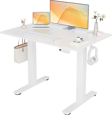 SEANG Electric Standing Desk