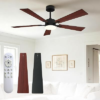 DECORYC Celling Fans with Light
