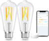 Smart Edison Light Bulb 2 Pack