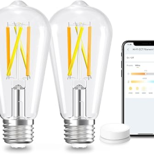Smart Edison Light Bulb 2 Pack