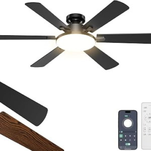ETERFUN 52 Inch Ceiling Fans with Lights