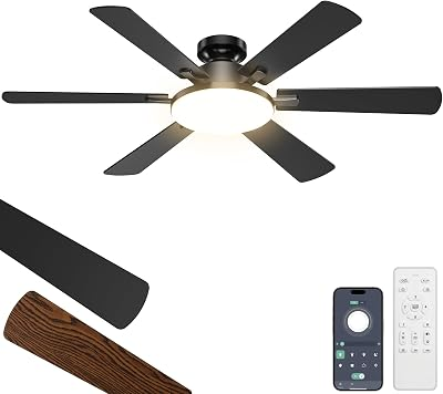 ETERFUN 52 Inch Ceiling Fans with Lights