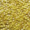 6mm Cup Yellow Rainbow Iris Super Shine Reversible Made in USA