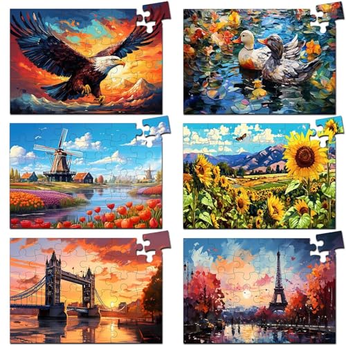 6 Pack 36-Piece Large Jigsaw Puzzles for Seniors Easy Dementia Alzheimer Products Dementia Activities Memory Training Game for Elderly Alzheimer's Patients in Nursing Home Gift (Style 3)