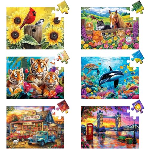 6 Packs 24 Large Piece Puzzle for Seniors,Dementia Alzheimer's Products Activities for Elderly Adults,Easy Puzzle Alzheimer’s Memory Cognitive Game Gift for Patient in Nursing Home with 6 Storage Bags