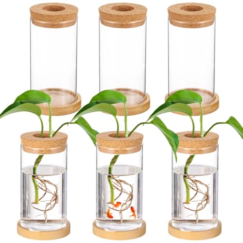 6 Pcs Plant Terrariums, Desktop Glass Planters with Cork Lids and Matching Saucers, Plant Propagation Vases, Tabletop Water Planting Containers, Glass Planter Stations for Home Office Decor
