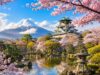 70 Piece Puzzles - Fuji Cherry Blossom - Fun Family 70 Piece Jigsaw Puzzle, 6 X 8 Inch, Recyclable Wooden Puzzle Pieces, Favorite Room Decor Or Gifts