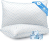 DIORIS Pillows Queen Size Set of 2