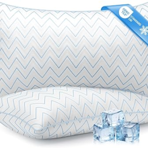 DIORIS Pillows Queen Size Set of 2