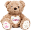 Personalized Teddy Bear Stuffed Animal, Custom Bear Plush with Embroidered Name, Toys for 1 2 3 Year Old Baby Girls Boys, Customized Christmas Birthday Gifts for Infant Toddler Newborn (Bear)