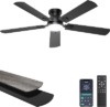 Ceiling Fans with Lights