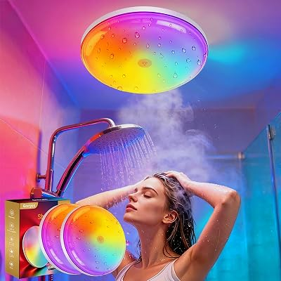 GIVRYES 2 Pack Ceiling Light