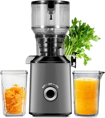 THREEALL Cold Press Juicer Machine
