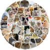 160pcs Cute Cat Stickers for Laptops,Different Style Cat Expressions and Movements Stickers for Notebooks, Mobile Case,Suitcase,Helmat,Skateboard