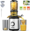 GANIZA Cold Press Juicer Machines