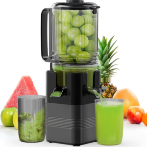 LPLEA Juicer Machines