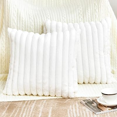 GRINEED 2 Pack Throw Pillow Covers