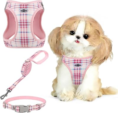 Gyuzh Small Dog Harness and Leash Set for Puppy & Kitten - 3-in-1 No Pull Step in Vest Collar, Lightweight Reflective Plaid, Padded Handle (Pink, XS)