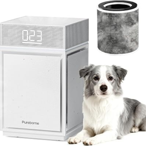 Pureborne Air Purifiers for Home Large Room Bedroom up to 3600 Sq Ft PM 2.5 Display Air Quality Sensor True HEPA Air Filter for Fur Odor Smoke with Three-Sided Air Inlet, White,1 P