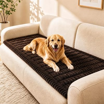 BIETYONE Couch Cover