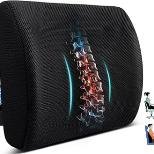 Lumbar Support Pillow for Office Chair, Office Home Essentials,Gifts for Mom,Dad, Back Support Pillow for Car, Chair Cushions,Back Pain Relief Improve Posture,Mesh Cover Double Adjustable Straps