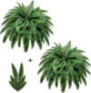 LUCEALBERI Artificial Boston Fern Bush Set of 2