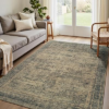 CARPELUX 8X10 Area Rugs
