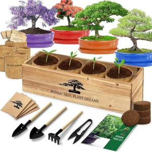 LUOJIBIE Bonsai Tree Kit