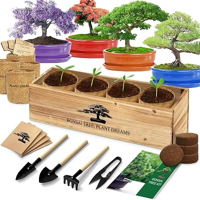LUOJIBIE Bonsai Tree Kit