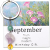 RAICEGS Women Birthstone Keychain
