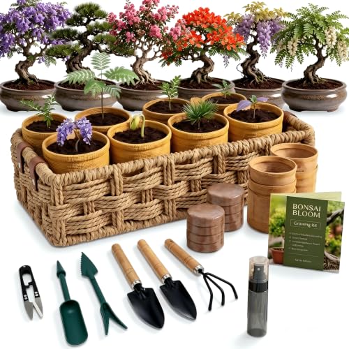 8 Pack Bonsai Tree Kit with Complete Tools, 8X Unique Seeds Bonzai Tree Live Kits, Complete Indoor Bonsai Starter Kit with Woven Basket, Perfect Garden Gift for Mom, Men, Women, Plant Lover