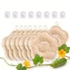 8 Pack Flower Shaped Natural Loofah Body Scrubber, 100% Luffa Sponge Exfoliating Bath Sponge with 8 Hooks, Gift Set
