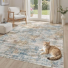 UERMEI 5X7 Area Rug