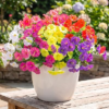 BAKKIET Artificial Flowers