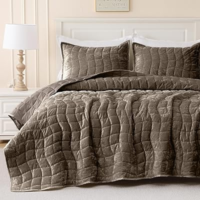 DOWNCOOL 3 Pieces Velvet Quilt Set