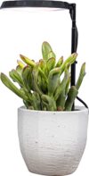 AeroGarden Stem Grow Light for Indoor Plants, Black