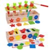 AISHUN Montessori for Toddlers, Magnetic Color Shape Sorting Matching Box, Early Learning Toys, Wooden Educational Toy, Fine Motor Skills Toys for Boys Girls