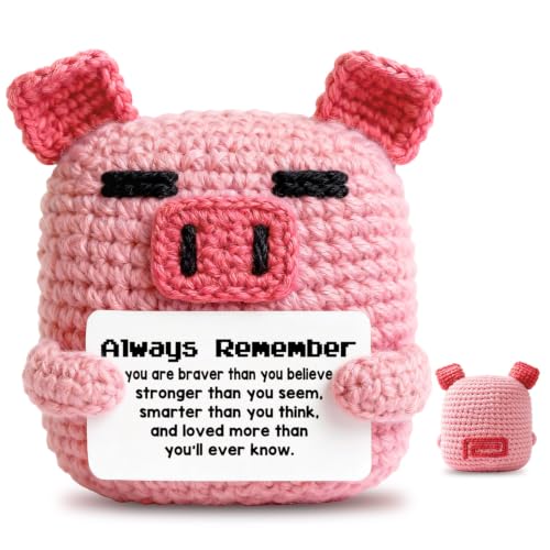 Always Remember Inspirational Gifts for Friends Daughter, Emotional Support Handmade Crochet Pig with Encouragement Card for Birthday Christmas, Positive Pocket Hug Desk Decor Ornament for Women