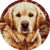 AMBATTERY DIY Latch Hook Rug Kit Crochet Kits for Adults,Animal Dog