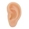 Amosfun Simulation Silicone Left Ear Model for Teaching and Practice, Human Ear Anatomy Copy Made of Safe Beige Silicone, for Training and Display