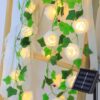 AMZSTAR Solar String Lights Outdoor Waterproof Rose Flower Ivy Vine Garland Curtain Light Artificial Flower Fairy Christmas Decor Patio Lighting for Garden Lawn Gazebo Porch Tree Wedding，5m 50LED