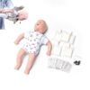 Anatomical Models Human Body Figure Model, Anatomy Study Tools for Physiology and Human Body Learning, Anatomia Humana Anatomy Doll
