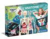 Anatomy