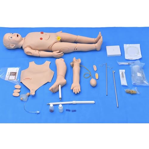 Anatomy Doll Figure Model for Nursing Training with Airway Management, Venipuncture, Catheterization, Ostomy Care, and Movable Joints, Anatomical Models Human Body Study Tools