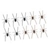 and Brown Arachnid Magnets for Fridge Decor, 10 Piece Realistic Halloween Set for Refrigerator Door Accent and Indoor Party Display