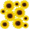ANSOMO Sunflower Tissue Paper Pom Poms Yellow Flowers 12" 8" Pack of 10