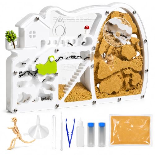 Ant Farm Castle, Large Thick Clear Acrylic Dual-Sided Formicarium - Live Ant Habitat with Sand & Tools, Multi-Zone Eco Nest - STEM Science Gift & Stress Relief Desk Toy for Kids & Adults