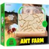 Ant Farm Kit for Kids - Farms Colony - Includes Ants Voucher - Sand Habitat
