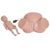 AonVengeur Anatomy Study Tools, Human Anatomy Model with Abnormal Labor Scenarios, Anatomical Models for Physiology Study, Figure Model Demonstrates Dystocia Training